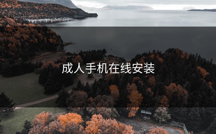 成人手机在线安装