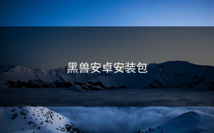 黑兽安卓安装包