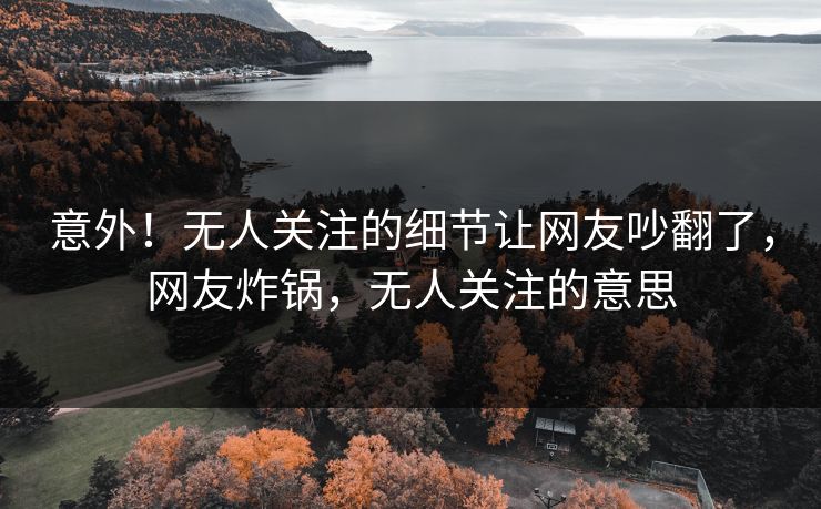 意外！无人关注的细节让网友吵翻了，网友炸锅，无人关注的意思