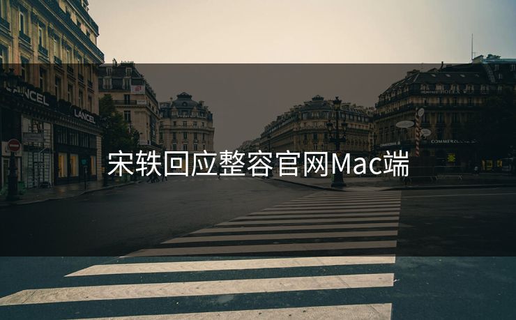 宋轶回应整容官网Mac端